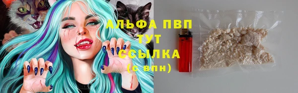 круглые Вязьма