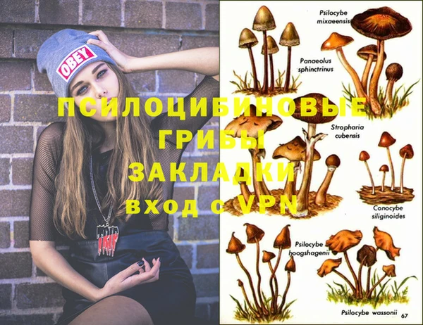 кокс Вяземский