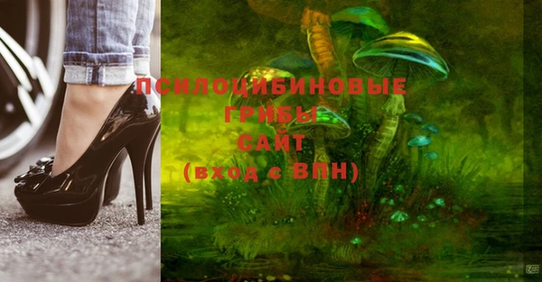 кокс Вяземский