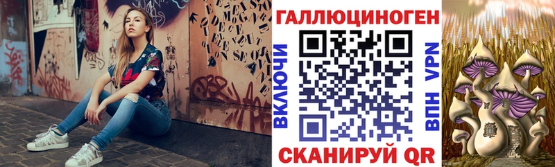 где продают   Железногорск-Илимский  omg зеркало  Псилоцибиновые грибы мухоморы 